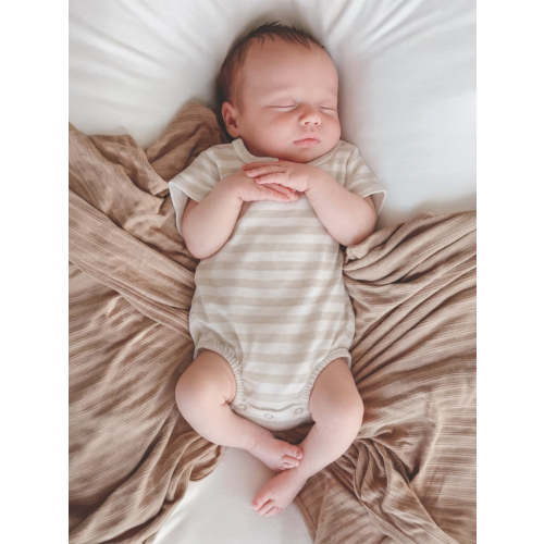 SpearmintLOVE Sage Stripe / Organic T-Shirt Bubble - Shop