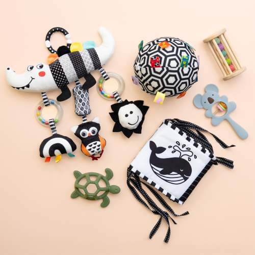 Little Sparks (Bundle)