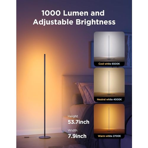 Govee RGBIC Floor Lamp Basic, 1000lm LED Corner Lamp, Black | Compatible with Alexa and Matter, Modern Floor Lamp with Music Sync and 16 Million DIY Colors, Standing Lamp for Bedroom