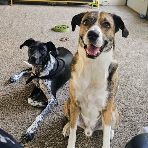 Big Brother Care Fund