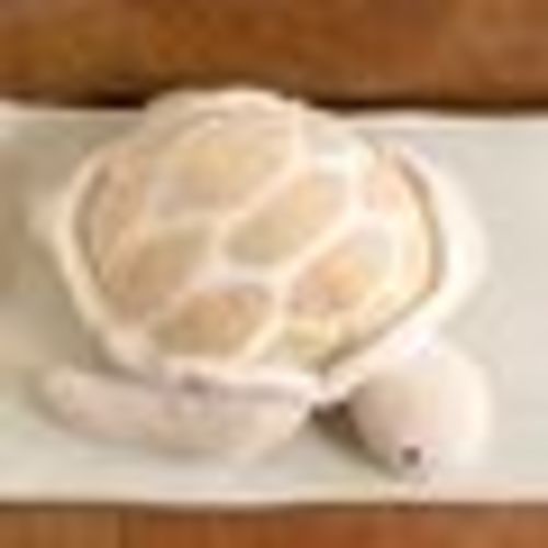 Sea Turtle Boucle Pillow, Tan/White, 20L x 18H , Polyester | Kirkland's Home