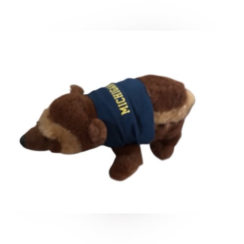 University of Michigan Mascot