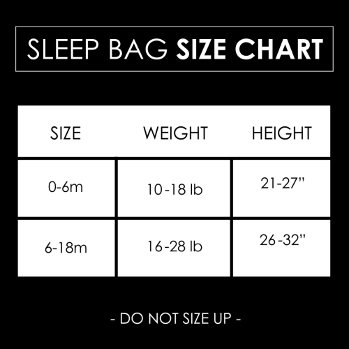 Disney Sleep Bag - Cars – Milk Snob