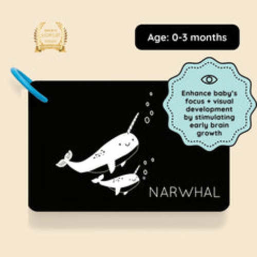 High Contrast Cards for Infants - Curious Baby™ Cards – Curious Baby Cards