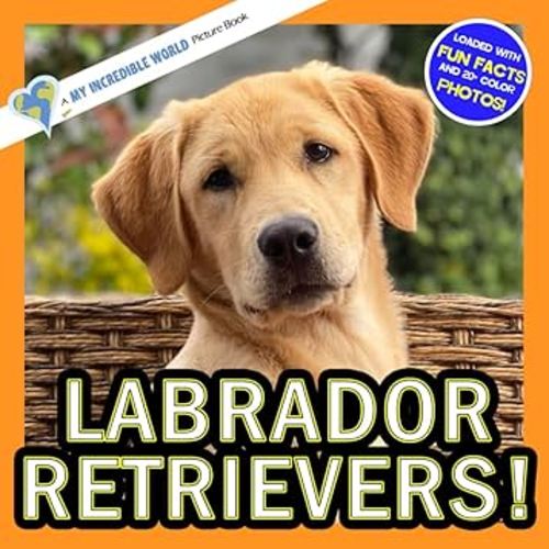 Labrador Retrievers!: A My Incredible World Picture Book for Children (My Incredible World: Nature and Animal Picture Books for Children)
