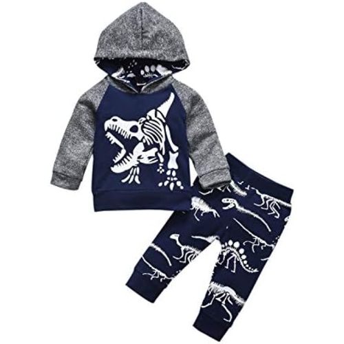 HINTINA Baby Boys Dinosaur Long Sleeve Hoodie Tops Sweatsuit Pants Winter Outfit Set