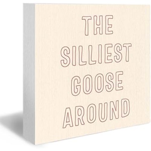 Silly Goose Girl Nursery Wood Box Sign - Funny Geese Desk Shelf Decor, Girls Nursery Decor, The Silliest Goose Around Wooden Block Plaque Box Sign for Kids Girls Nursery Dorm Decorations