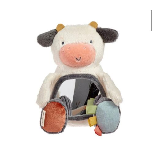 Itzy Bitzy Mirror Sensory Tummy Time Mirror | Snuggle Bugz | Canada's Baby Store