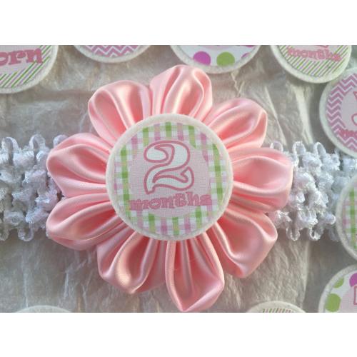 Pink Baby Milestone Headband: Interchangeable Month Disks