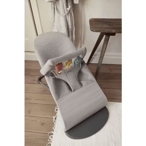 BabyBjörn Bouncer & Electric Swing
