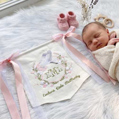 Personalized Baby Girl Banner, Embroidered Stork Nursery Decor, Custom Baby Name Pennant, Monogram Newborn Gift, Baby Shower Keepsake