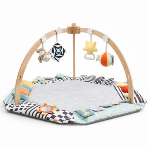 Baby Play Mat with Foldable Raised Edges, Wooden Gym & 6-in-1 Activity Center, Convertible Ball Pit, Sensory Playmat for Infants 6-18 Months | Wayfair