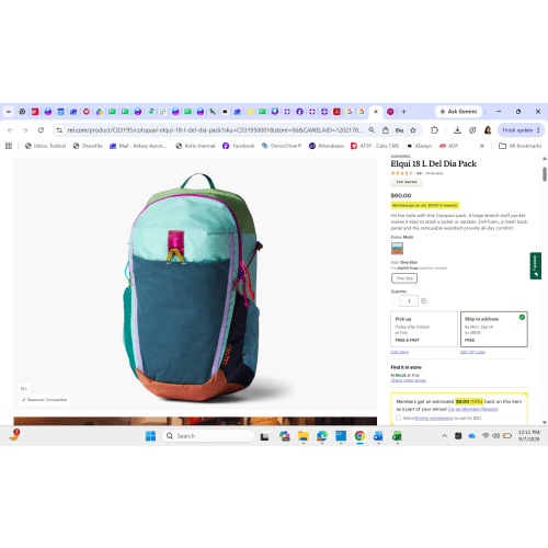Elqui 18 L Del Dia Pack (to use as diaper bag) - Multi Color