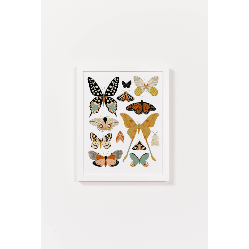 Butterfly Collector Art