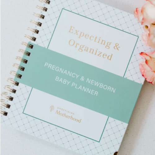 Expecting & Organized: Pregnancy & Baby Planner