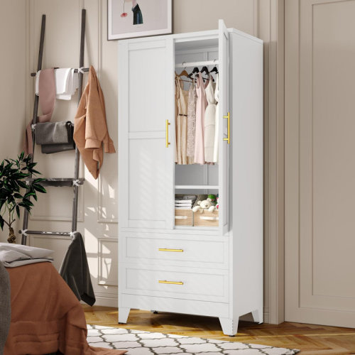 Winston Porter 71''H Metal Armoire Wardrobe Closet Storage Cabinet with Hanging Rod and 2 Drawers & Reviews | Wayfair