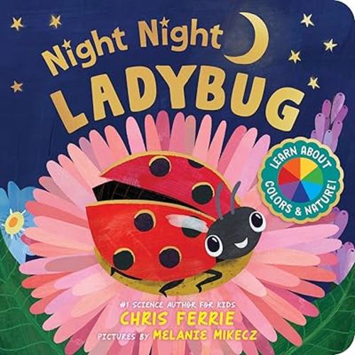 Night Night Ladybug