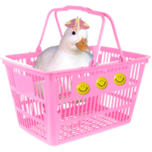 Planetary Candles – CHANI