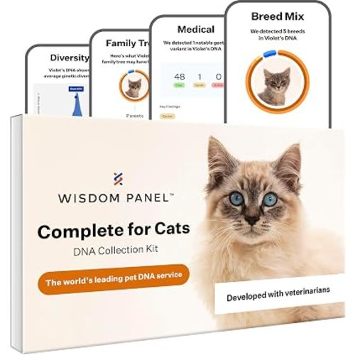Wisdom Panel Complete: Comprehensive Cat DNA Test kit for 45 Health Genetic Health Conditions, 70+ Breeds and populations, 25+ Traits, Blood Type - Pack of 2