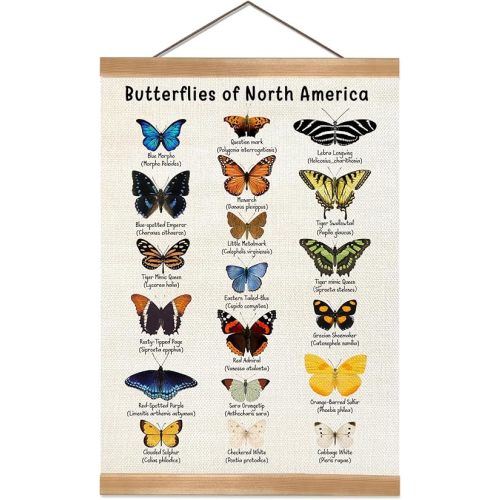 Vintage Butterfly Poster, North American Butterfly Wall Decor,Educational Linen Wall Art with Wood Frame, Nature Learning Hanging Banner for Homeschool, Classroom, Nursery, or Playroom Decor,12x16inch