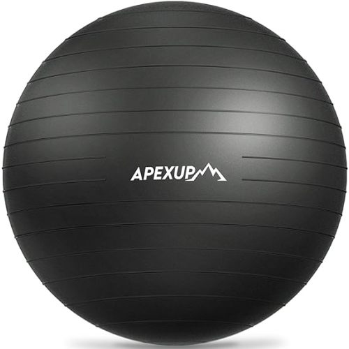 APEXUP Yoga Ball Exercise Ball Anti Slip Heavy Duty for Fitness, Balance & Core Workout