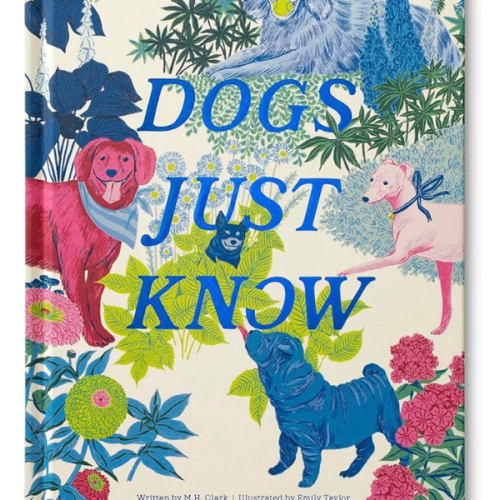 Dogs Just Know