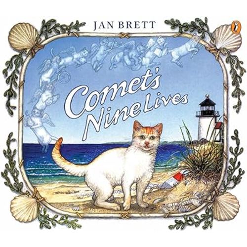 Comet's Nine Lives