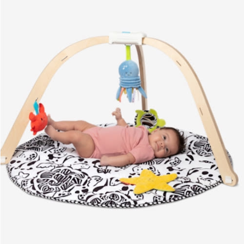 Melissa & Doug Ocean Wooden Baby Play Gym, Easy-Fold Baby Activity Center, 5 Washable Sensory Toys & Reversible Play Mat, Infant Toys, Ages 0–9 Months - FSC Certified