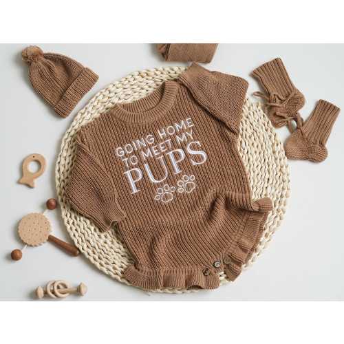 Embroidered Going Home to Meet My Pups Baby Romper, Cotton Ruffle Sweater, Baby Clothes