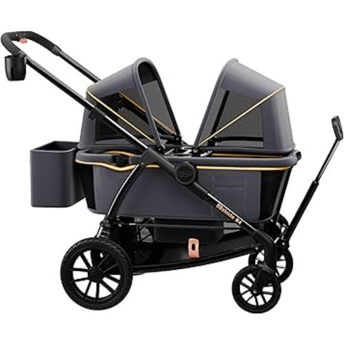 Pamo Babe Double Stroller Tandem Stroller for 2 Kids Push Pull Kids Wagon Adjustable Handle Waterproof and Sunproof Canopies Large Removable Storage Baskets
