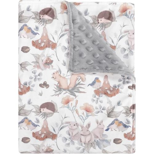 Baby Blankets for Girls Super Soft Minky Toddler Blanket 30x40 Inches, Double Layer, Dotted Backing, Floral Baby Crib Blanket for Nursery, Baby Car Seat, Pet, Mushroom
