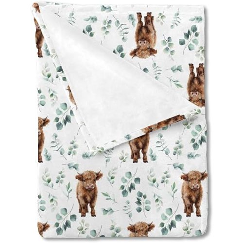 HawSkgFub Highland Cow Eucalyptus Leaf Baby Blanket Boys Shower Gift, Western Cowboy Flannel Fleece Nursery Bed Receiving Swaddle, Soft Lightweight Newborn Infant Crib Toddler Bedding 30 x 40