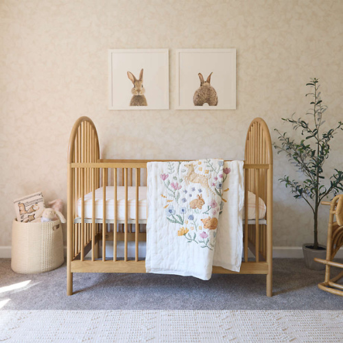 Secondhand: Crib & Mattress