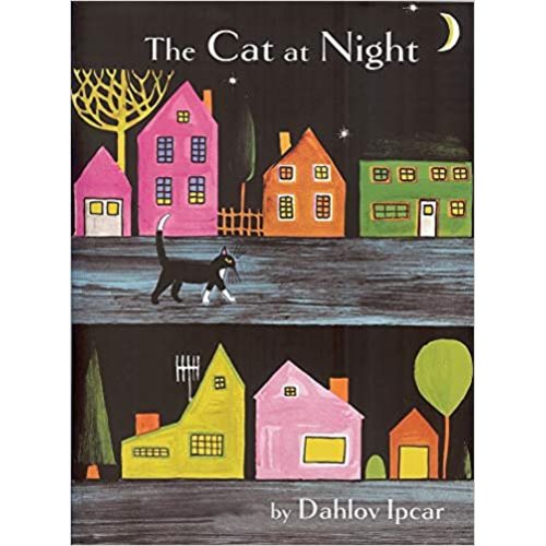 The Cat at Night - Hardcover