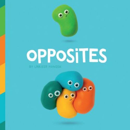 Opposites - by Larissa Honsek (Board Book)