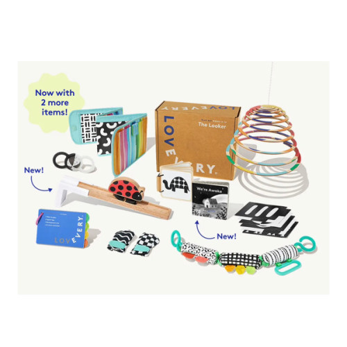 Lovevery Toy Subscription