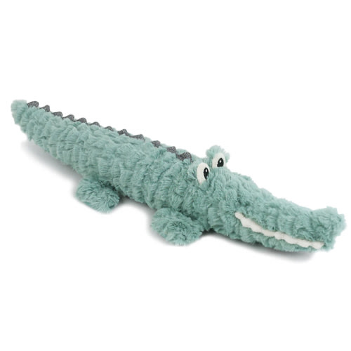Alligator