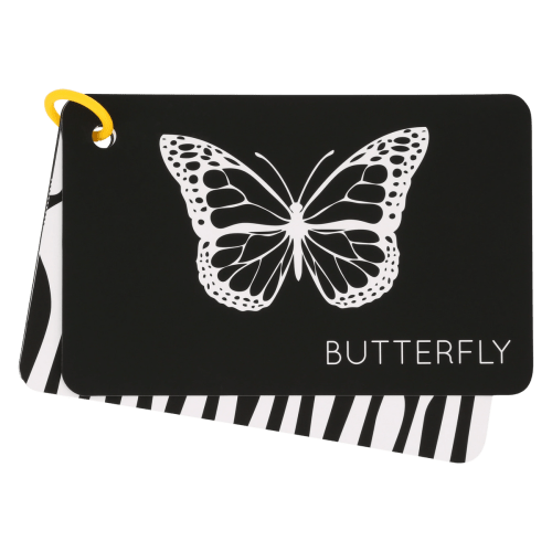High-Contrast Vision Development Cards