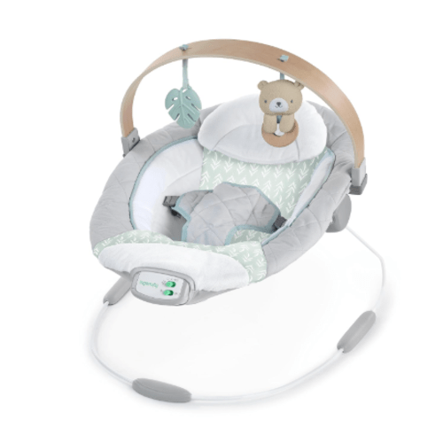 Ingenuity Cozy Spot Swing n Go Portable Swing, Nate