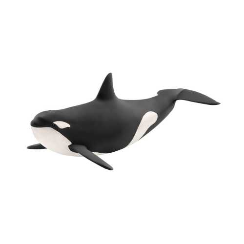 Killer Whale 14807 | Schleich USA Inc.