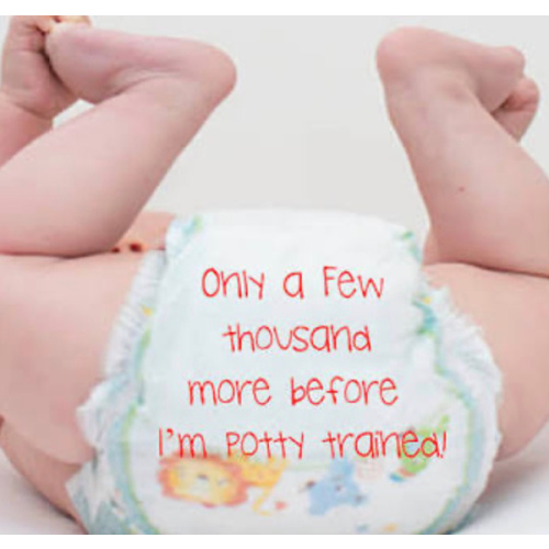 Babylist Diaper Fund