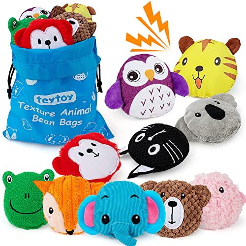 teytoy Sensory Bean Bag for Kids 10 Pack,Texture Sensory Beanbags,Sensory Toys for Autism,Animal Sensory Fine Motor Toys with Storage Bag for Boys and Girls