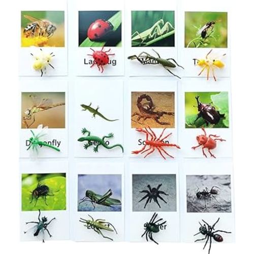 MEROCO Montessori Animal Match - Insect Animal Figurines with Matching Cards Language Montessori Materials Preschool Learning Toy NEWT008