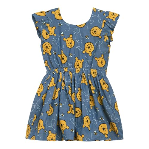 Disney Floral Chambray Skater Dress Newborn to Big Kid Sizes (0-3 Months - 14-16)