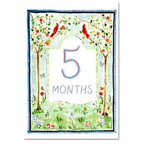 Baby Milestone Cards: Whimsical Set