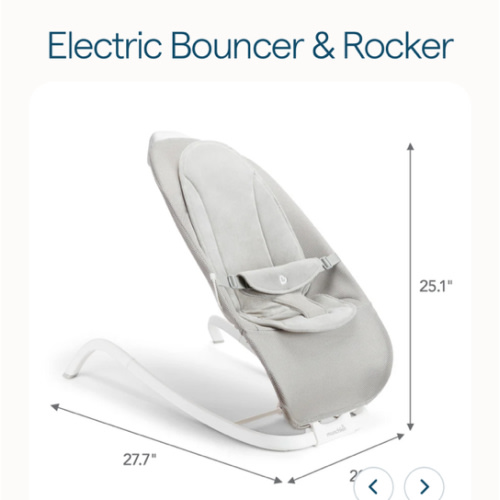 Electric Bouncer & Rocker