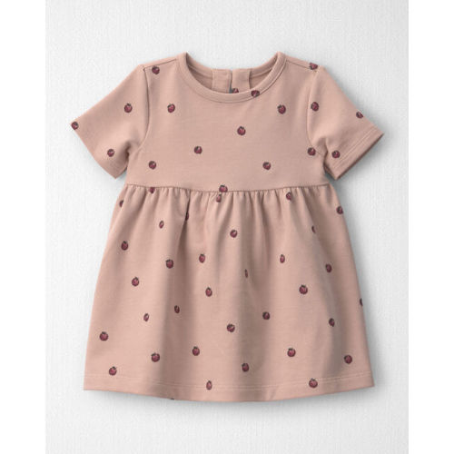 Baby Girl Organic Cotton French Terry Dress in Apples - Little Planet | Carter's