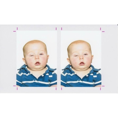 Cash fund (Baby Passport)