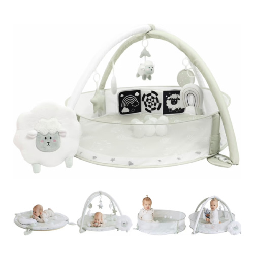 6-in-1 XL Play Mat & Play Gym, Baby Gym, Baby Activity Gym, Sensory Exploration and Motor Skill Development Toys (Sage)