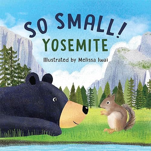 So Small! Yosemite Board book – Picture Book, August 7, 2018